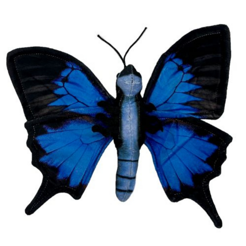 Kahlea Butterfly