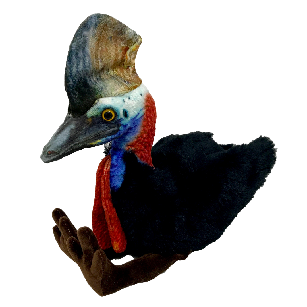 Kay Cassowary