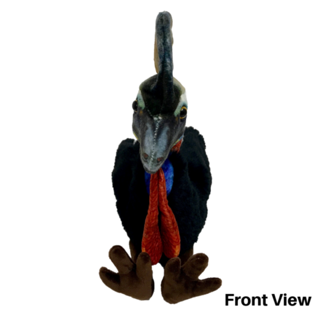 Kay Cassowary