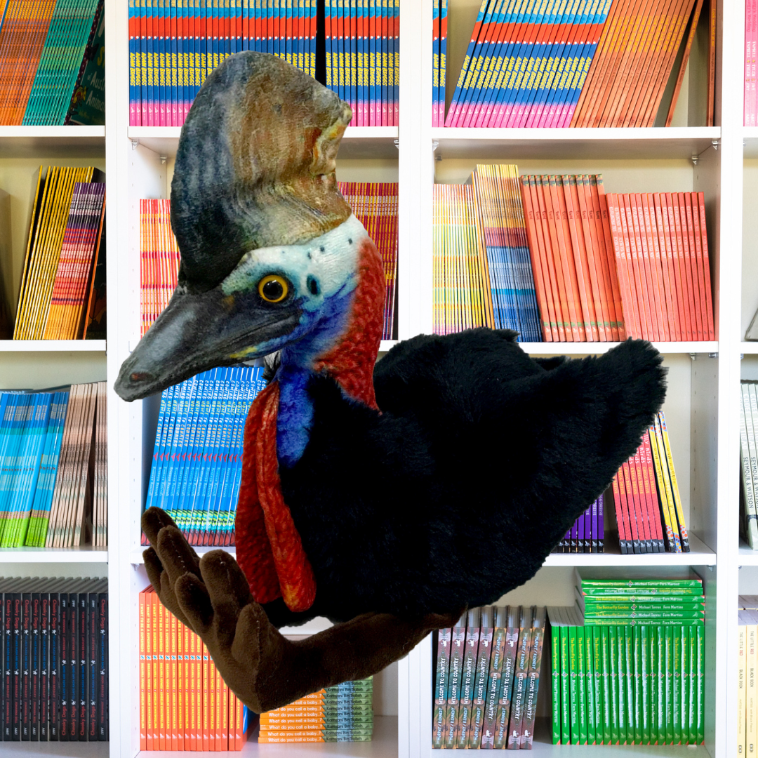Kay Cassowary Soft Toy 30CM