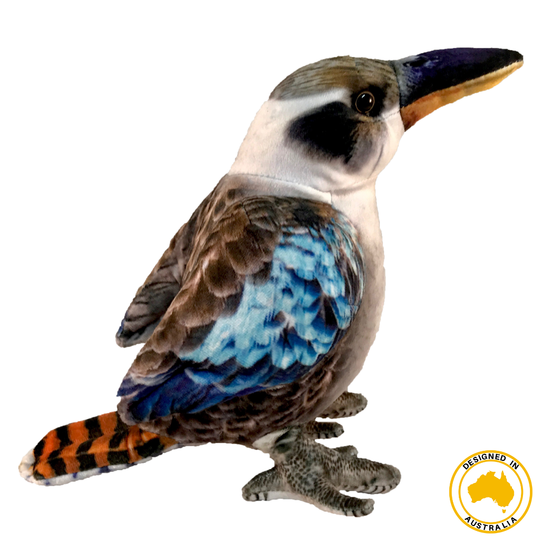 Kingsley Kookaburra