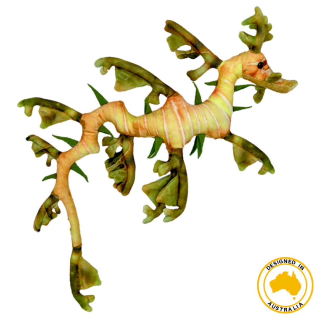 Leafy Sea Dragon Small