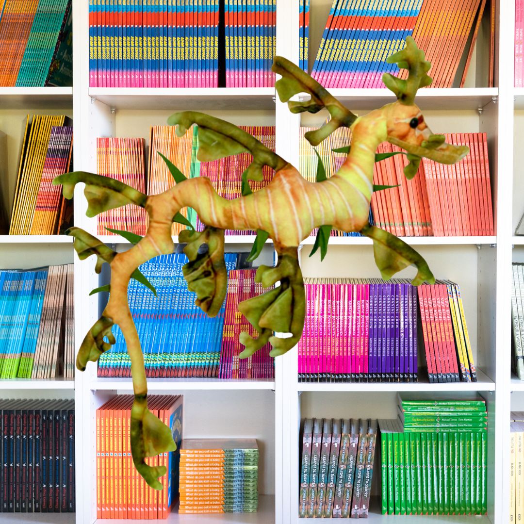 Leafy Sea Dragon Small Soft Toy 50CM