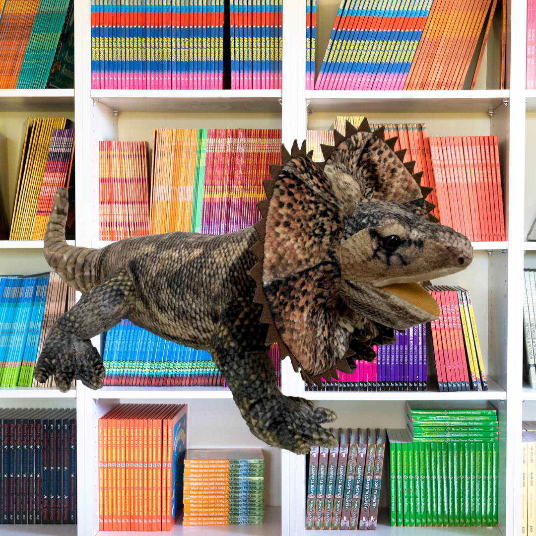 Norbert Frill Neck Lizard Soft Toy 65CM