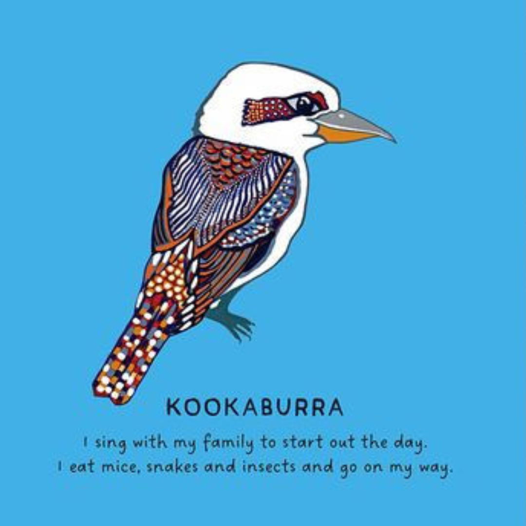 &quot;Our Birds: A Celebration of Australian Wildlife&quot; By Bronwyn Bancroft