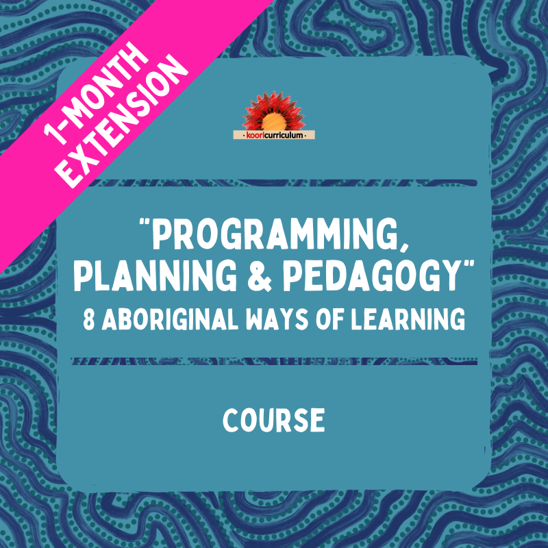 Programming, Planning & Pedagogy Course 1 Month Extension