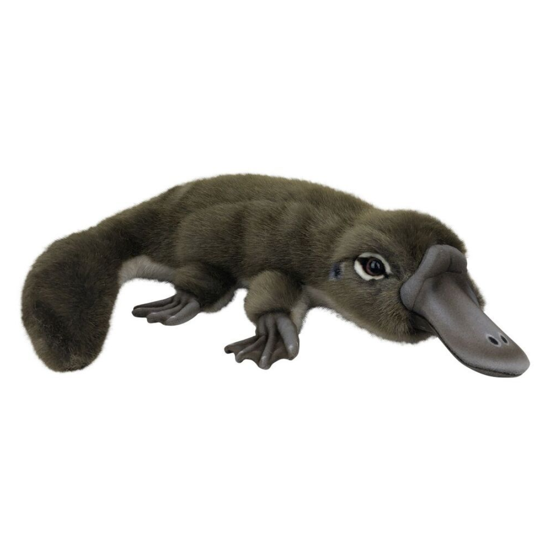 Plush Platypus 40CM