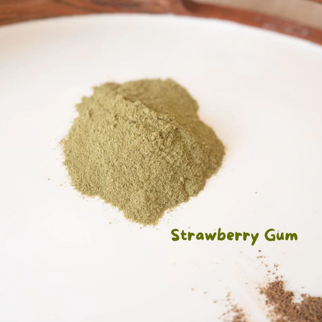 Aunty&#39;s Real Bush Tucker &#39;damper&#39; Playdough Mix | Strawberry Gum