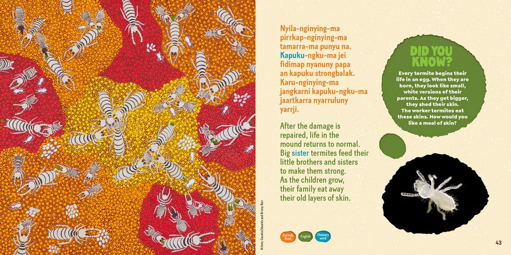 "Tamarra A Story of Termites on Gurindji Country" By Violet Wadrill, Topsy Dodd Ngarnjal, Leah Leaman, Cecelia Edwards, Cassandra Algy