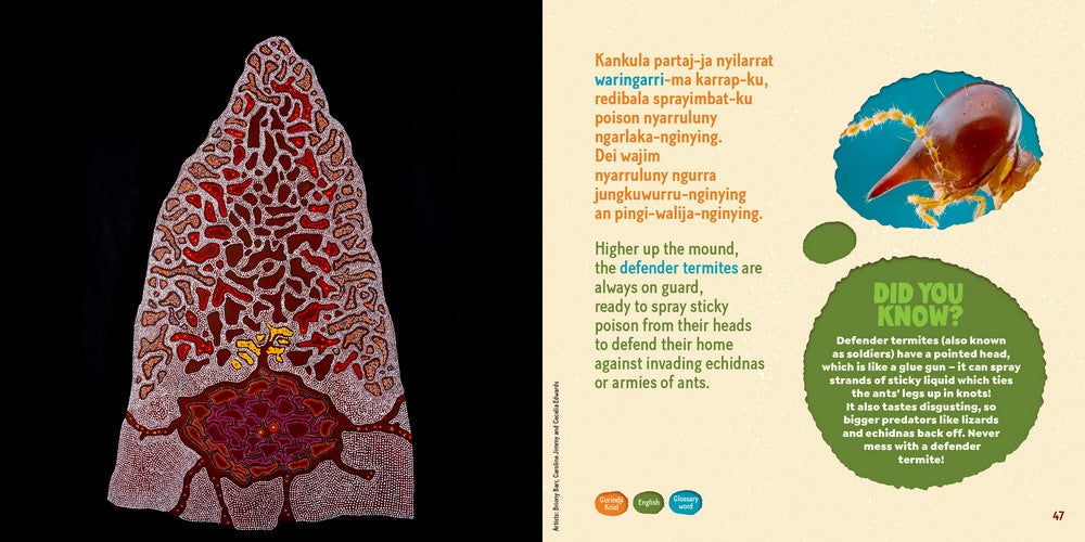 "Tamarra A Story of Termites on Gurindji Country" By Violet Wadrill, Topsy Dodd Ngarnjal, Leah Leaman, Cecelia Edwards, Cassandra Algy