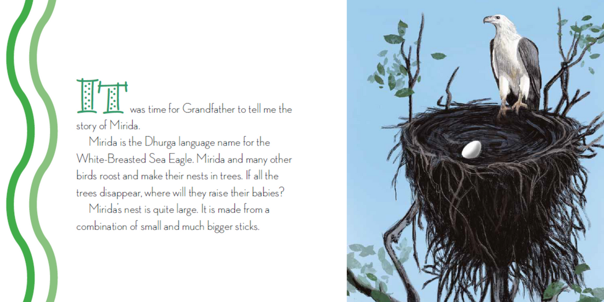 “When The Trees Disappeared&quot; By Trish Butler.  Illustrated by Elizabeth Hawkes