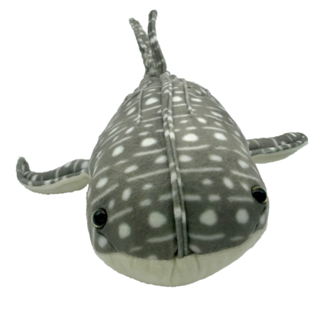 Wuanita Whale Shark