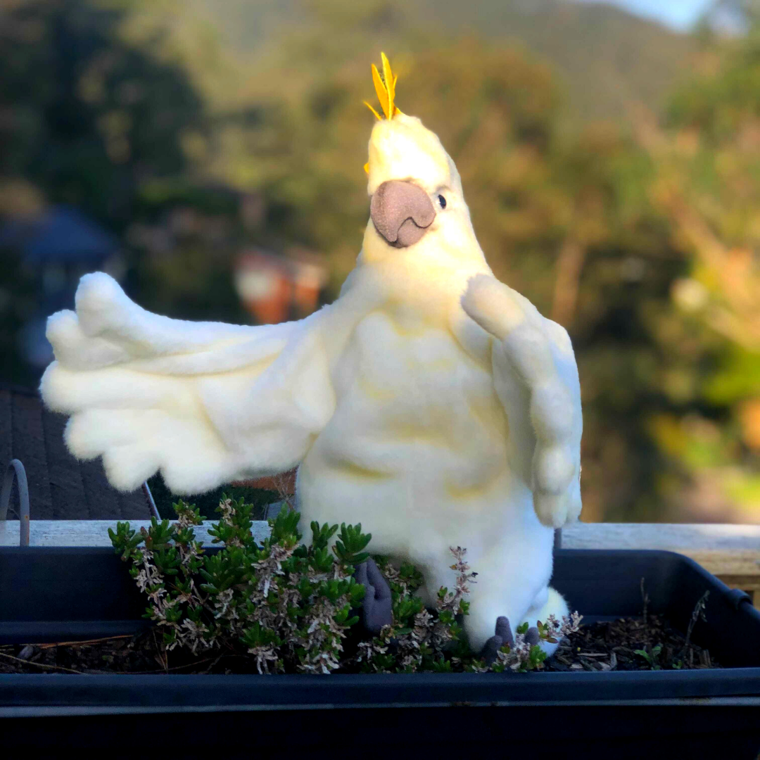 Cockatoo Puppet 43CM