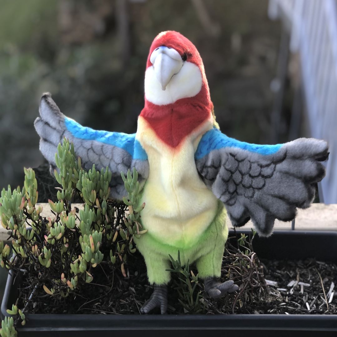 Eastern Rosella Puppet 50CM