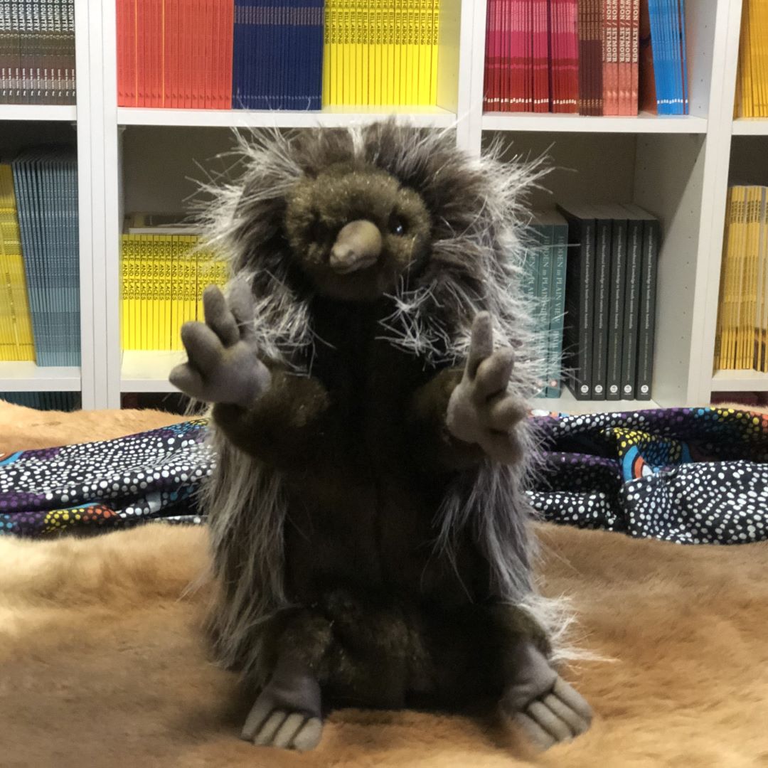 Echidna Puppet 27CM