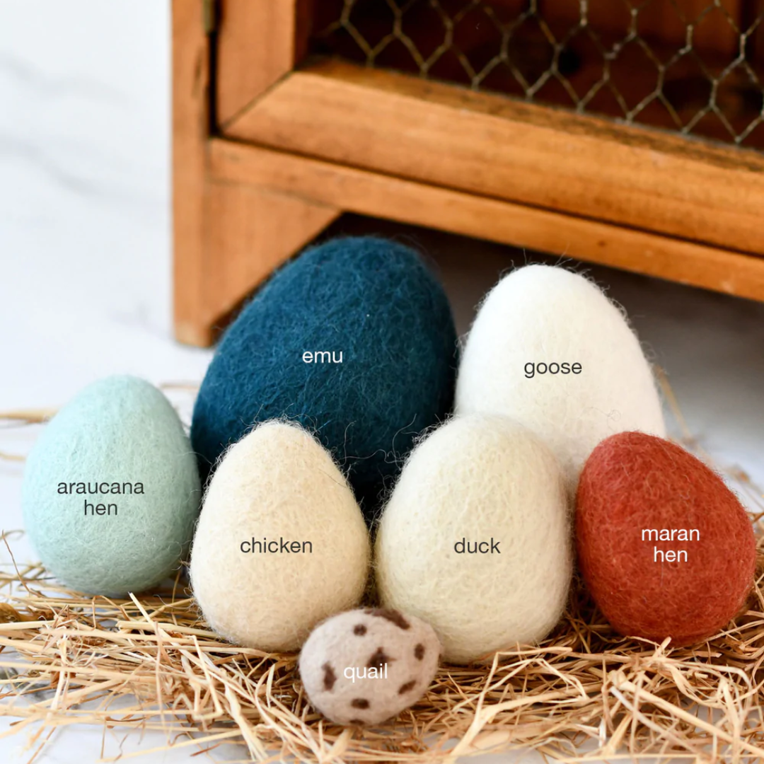 Felt Eggs (7 types of poultry eggs)