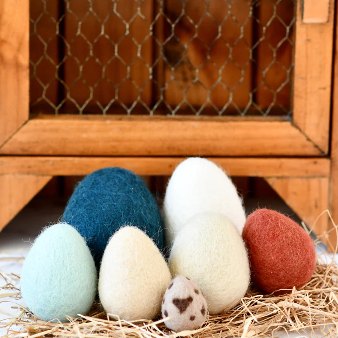 Felt Eggs (7 types of poultry eggs)