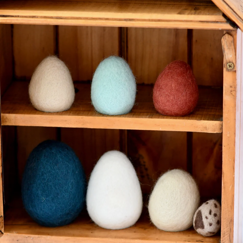 Felt Eggs (7 types of poultry eggs)