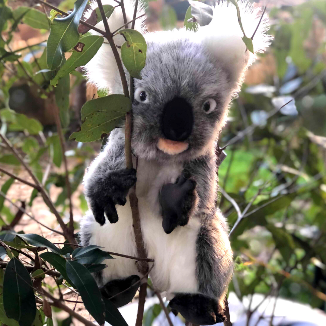 Koala Puppet  28CM