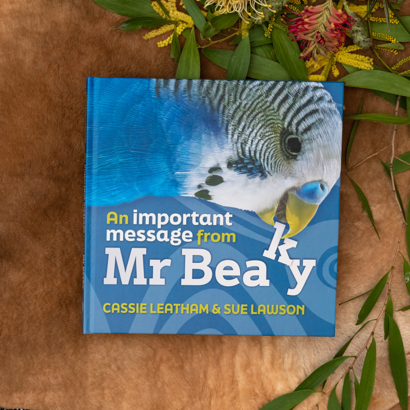 "An Important Message from Mr Beaky" By Cassie Leatham
