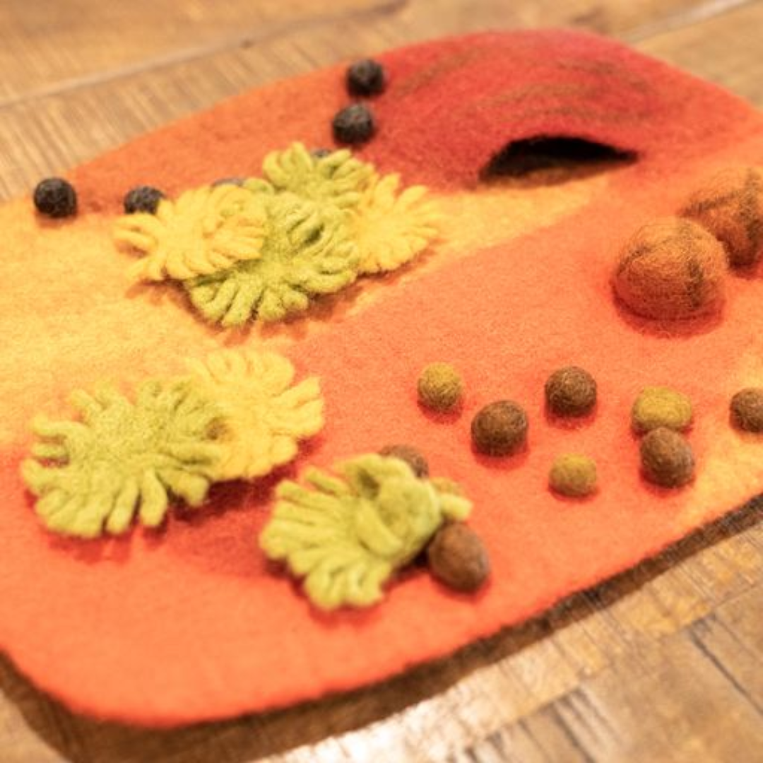 Australian Outback Desert Play Mat Playscape