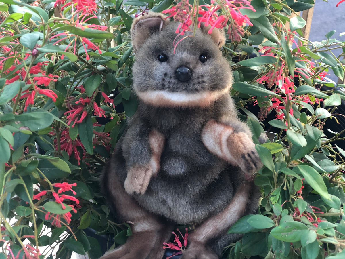 Quokka Puppet 33CM