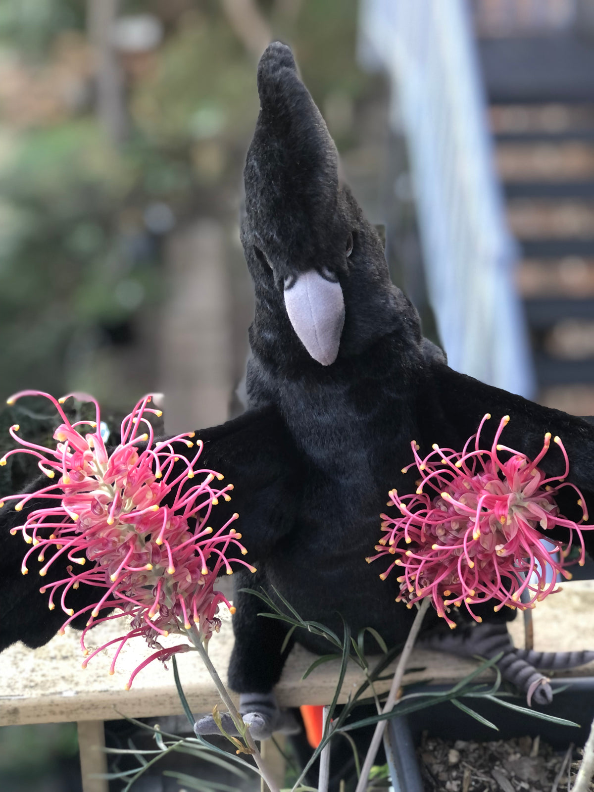 Black Cockatoo Puppet 49CM