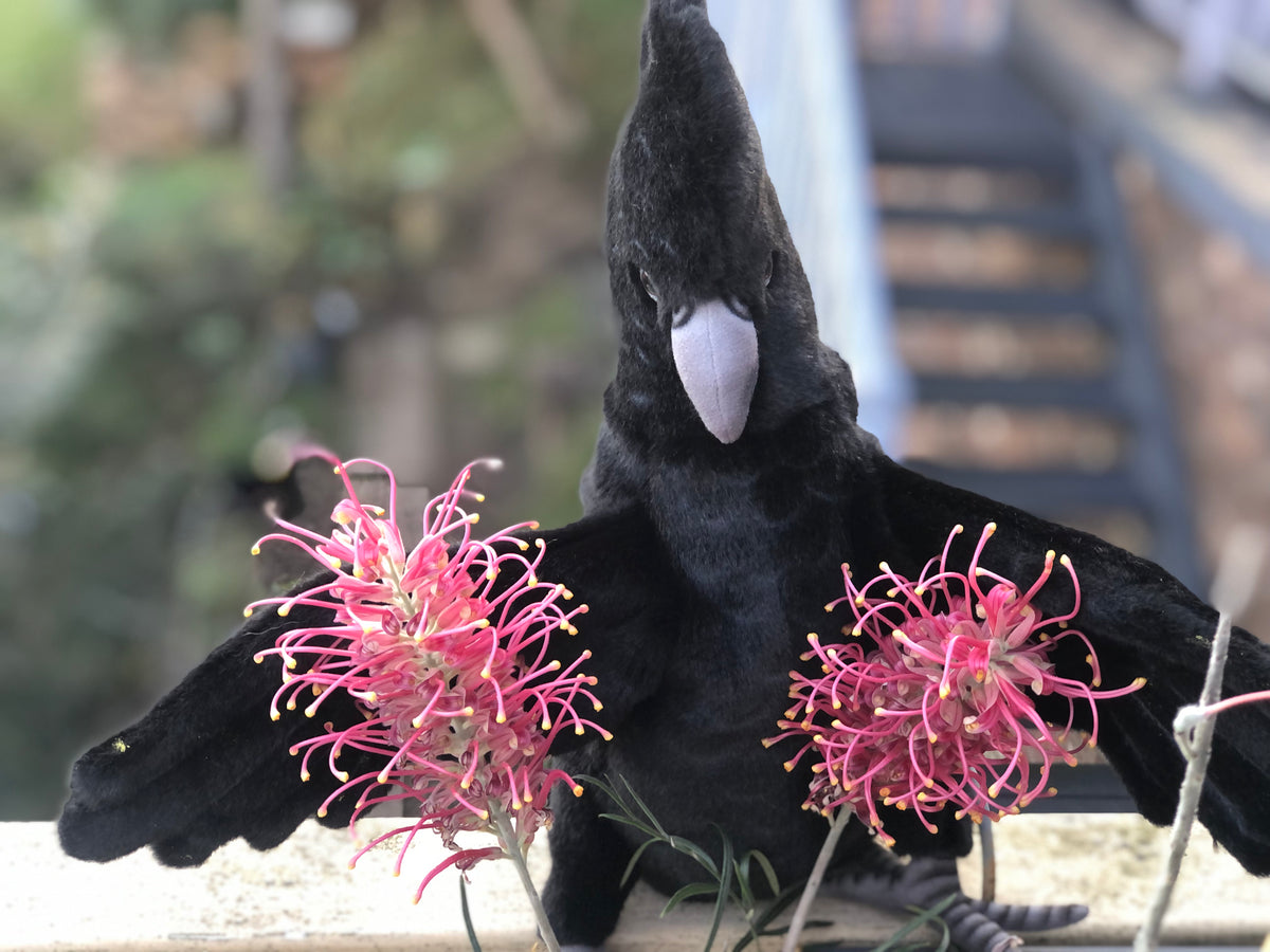 Black Cockatoo Puppet 49CM