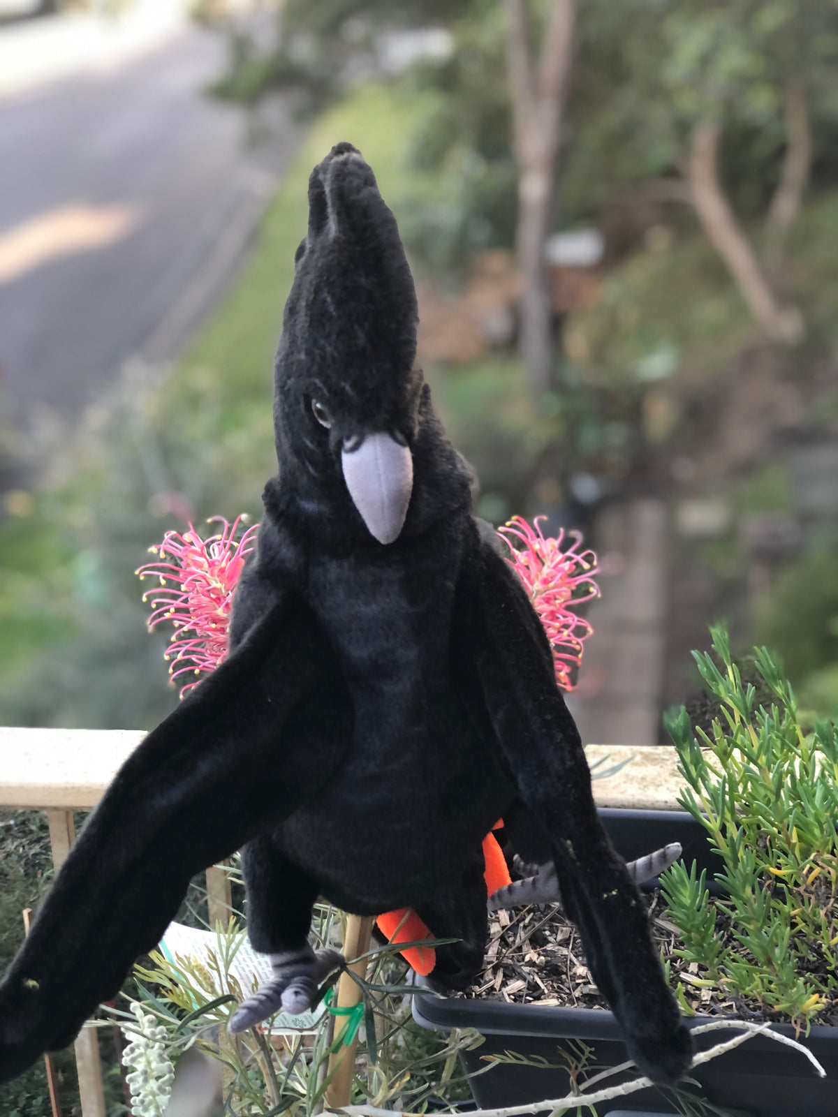 Black Cockatoo Puppet 49CM