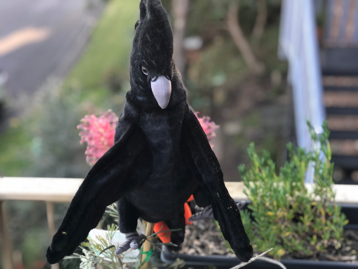 Black Cockatoo Puppet 49CM