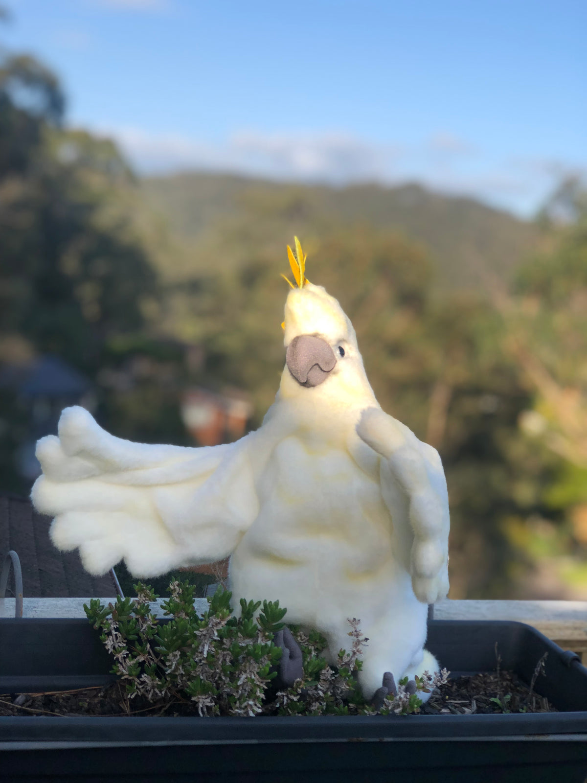 Cockatoo Puppet 43CM