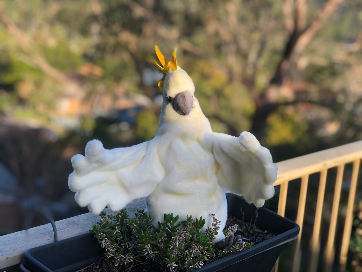 Cockatoo Puppet 43CM