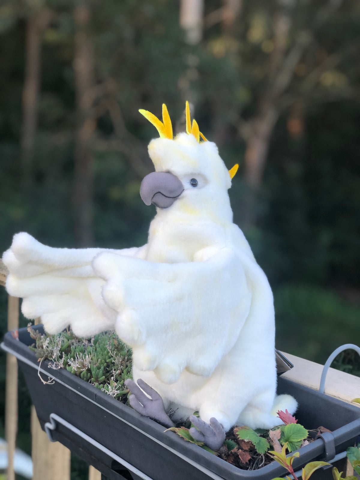 Cockatoo Puppet 43CM