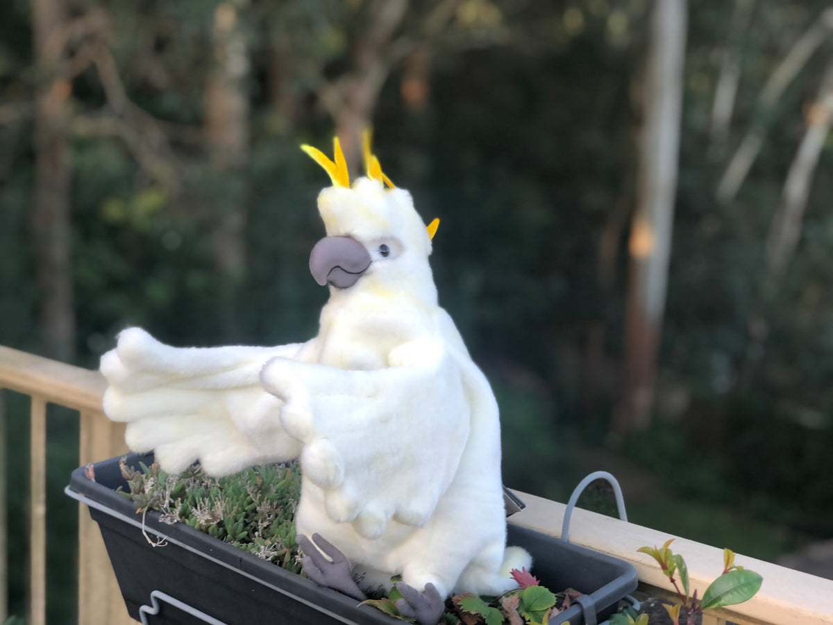 Cockatoo Puppet 43CM