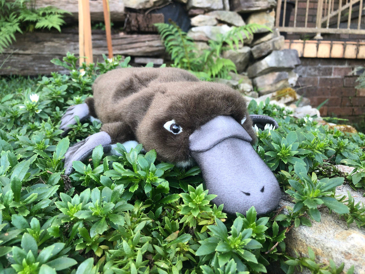 Plush Platypus 40CM