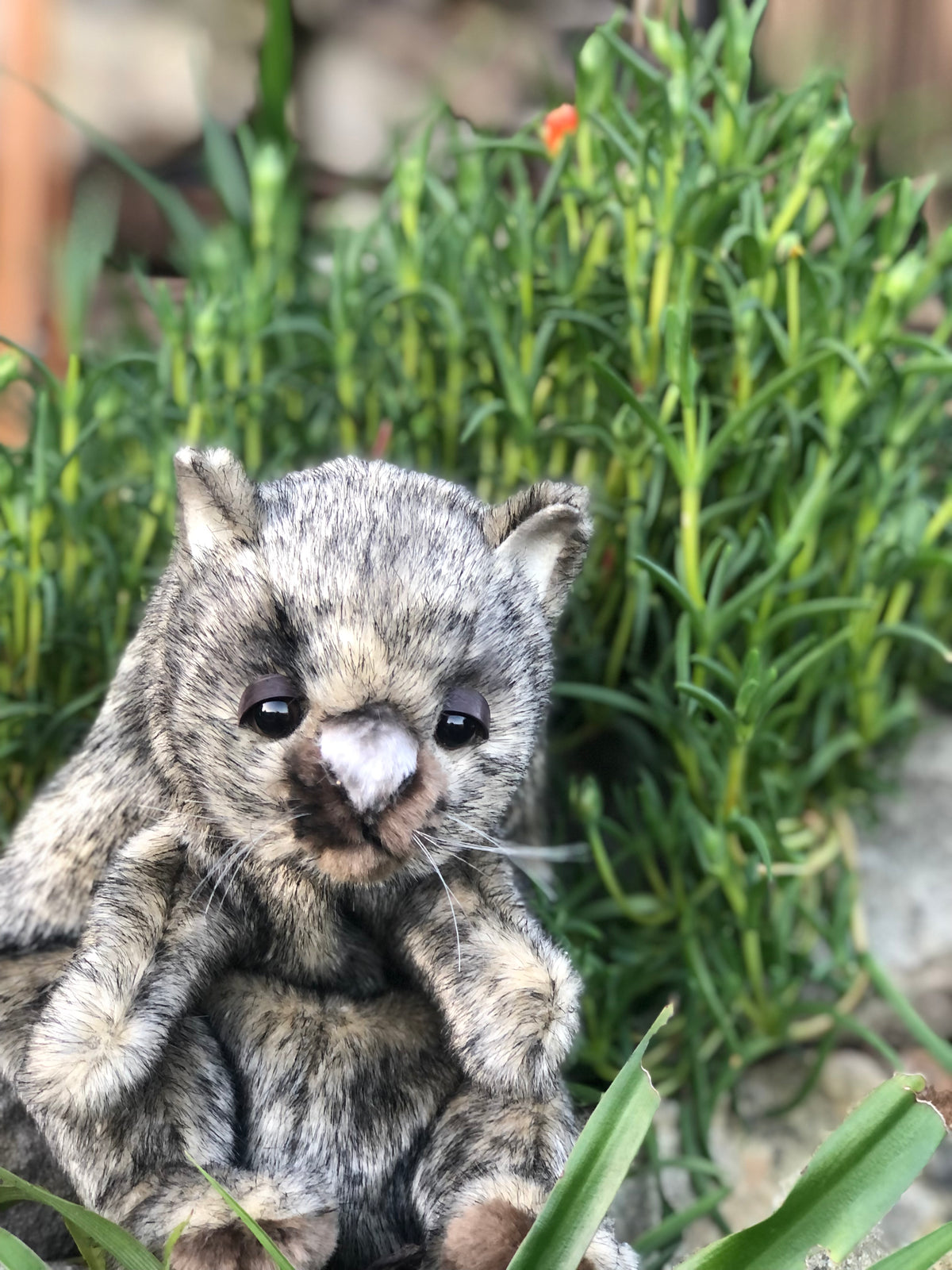 Wombat Puppet  23CM