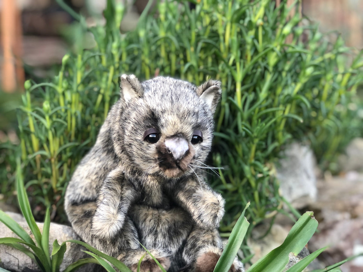 Wombat Puppet  23CM