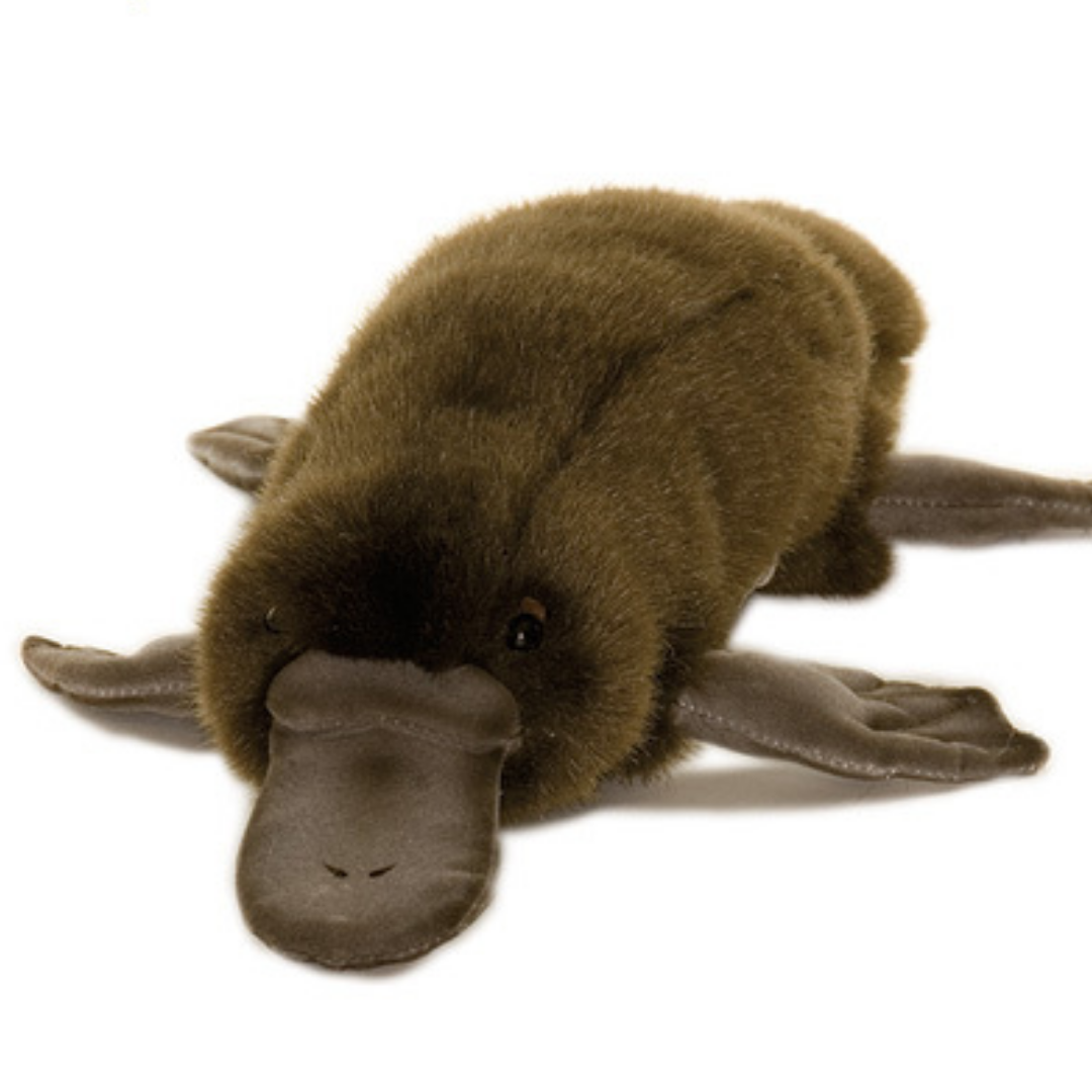 Plush Platypus