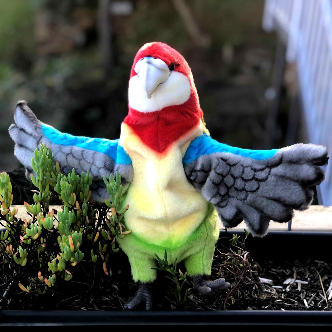 Eastern Rosella Puppet 50CM