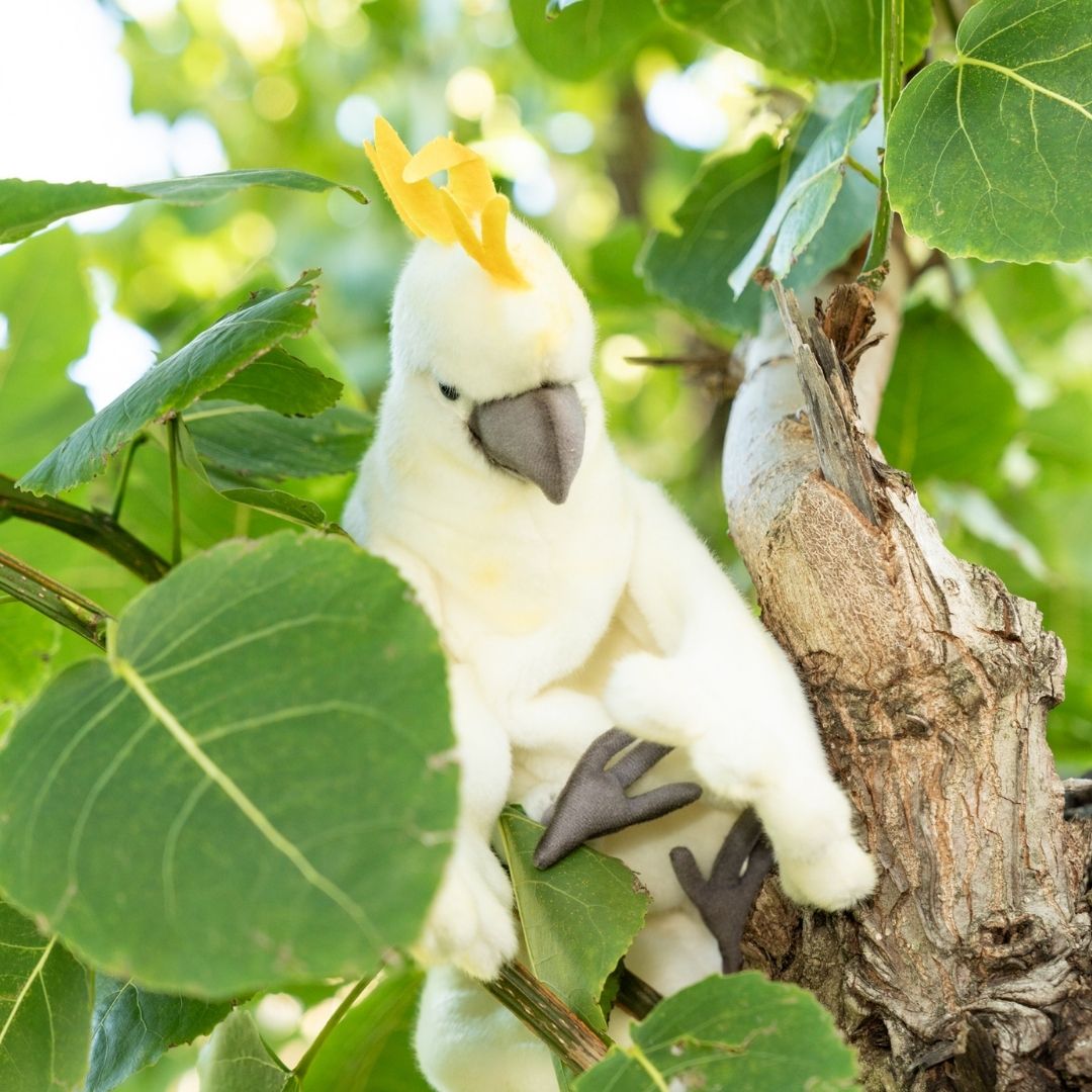 Cockatoo Puppet 43CM