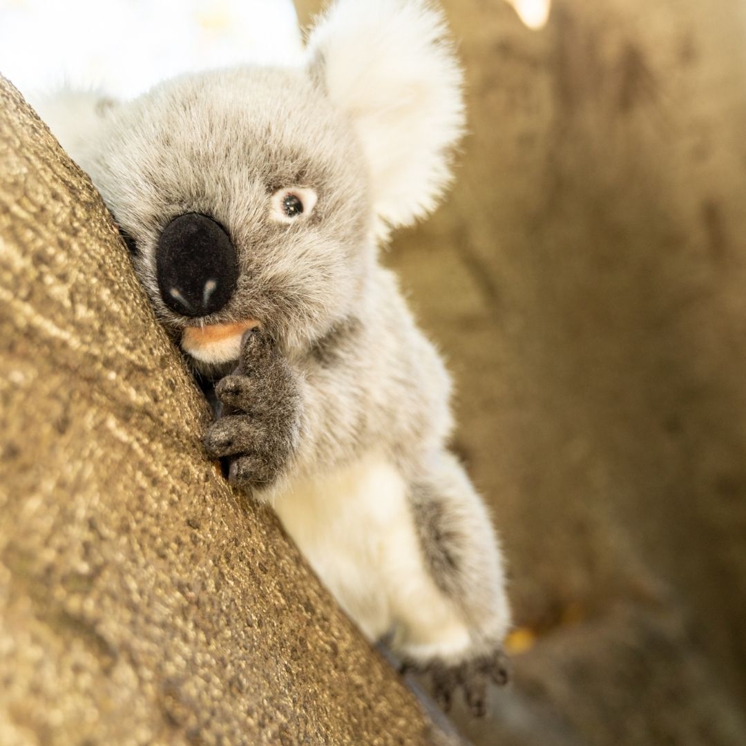 Koala Puppet  28CM