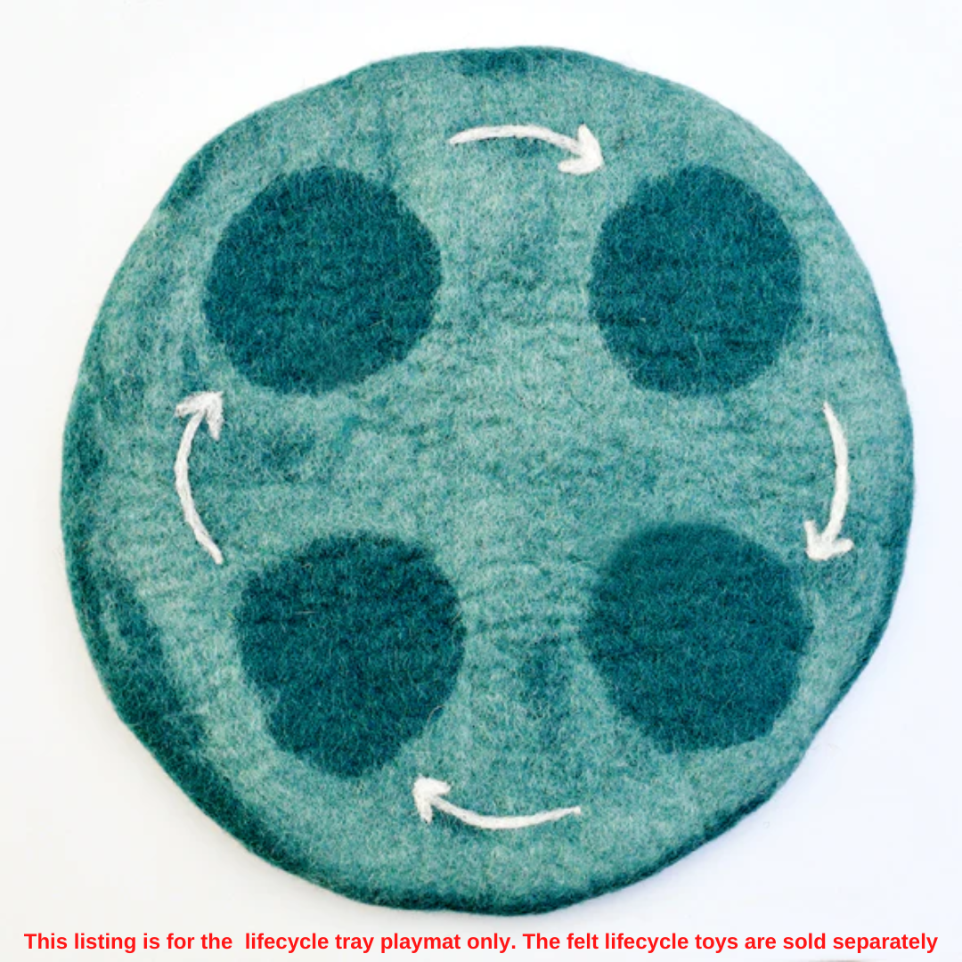 Felt Life Cycle Tray Playmat (Water)