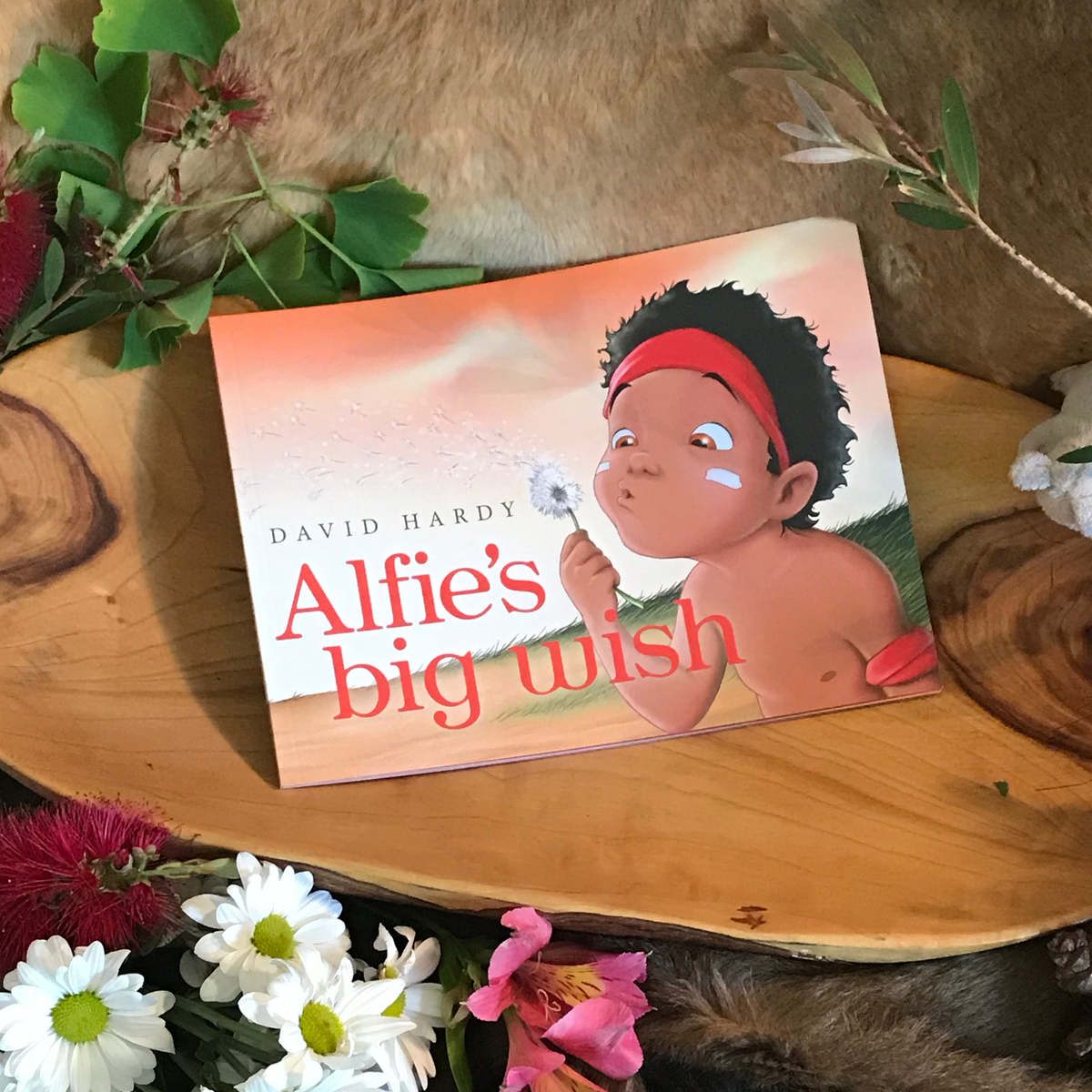 &quot;Alfie’s Big Wish&quot; By David Hardy