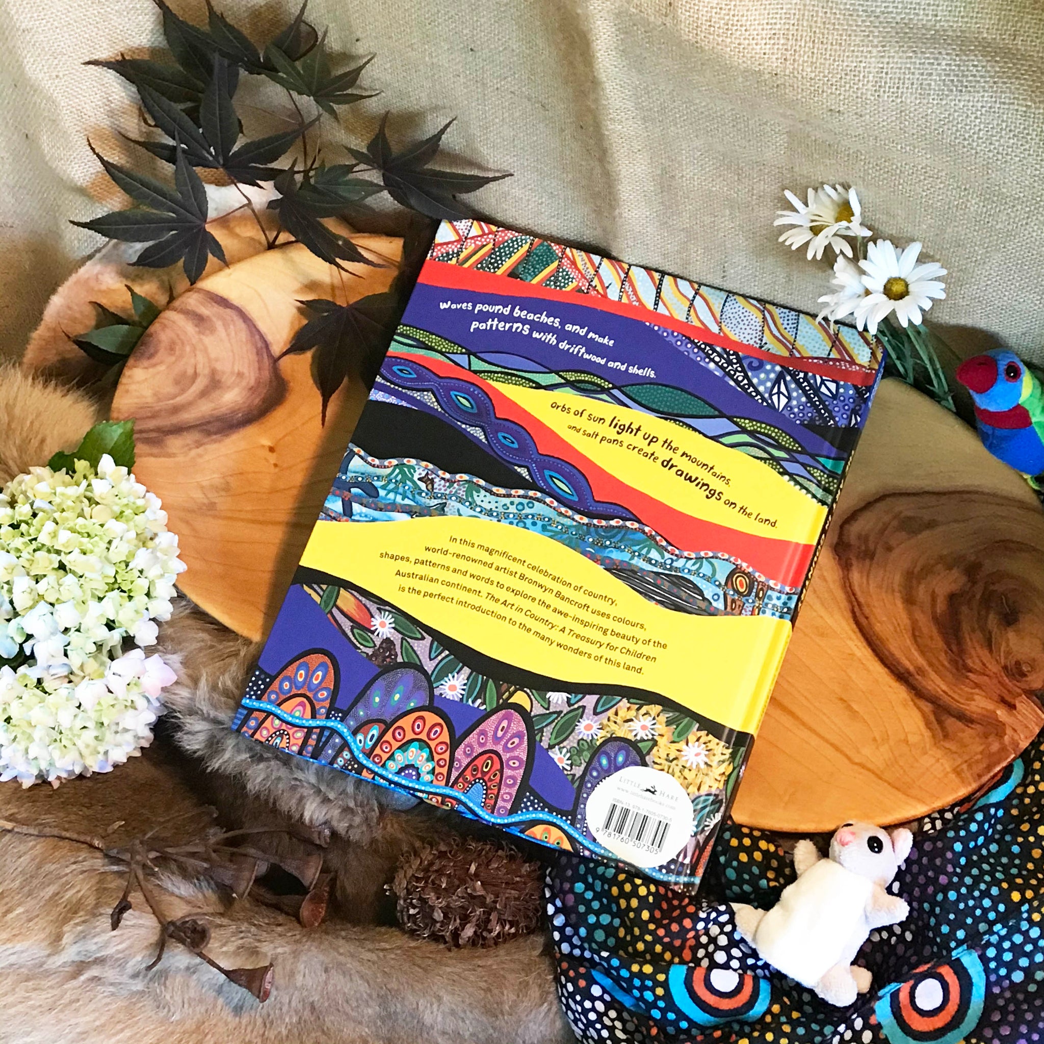 The Art In Country A Treasury For Children By Bronwyn Bancroft the-art-in-country-a-treasury-for-children-by-bronwyn-bancroft