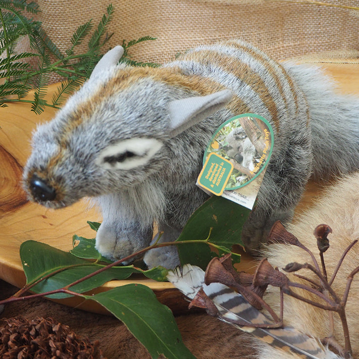 Sherbet - Plush Numbat Size 28cm/11″