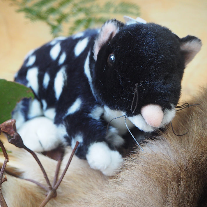 Polka - Plush Black Eastern Quoll Size 22cm/8.5″