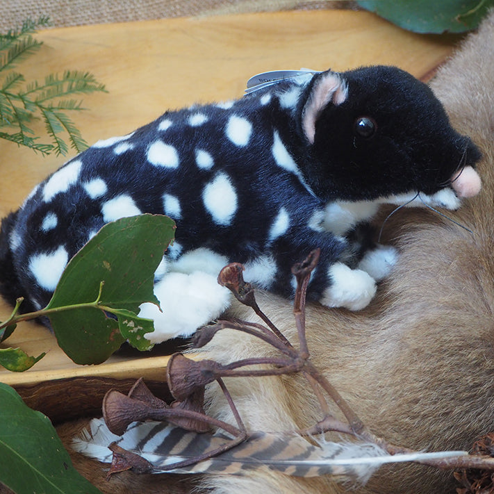 Polka - Plush Black Eastern Quoll Size 22cm/8.5″