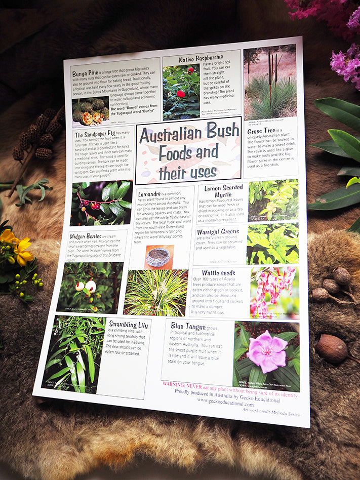 Aboriginal Bush Foods and their uses Poster | Koori Curriculum