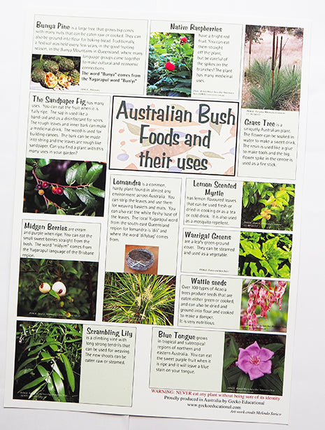 Aboriginal Bush Foods and their uses Poster