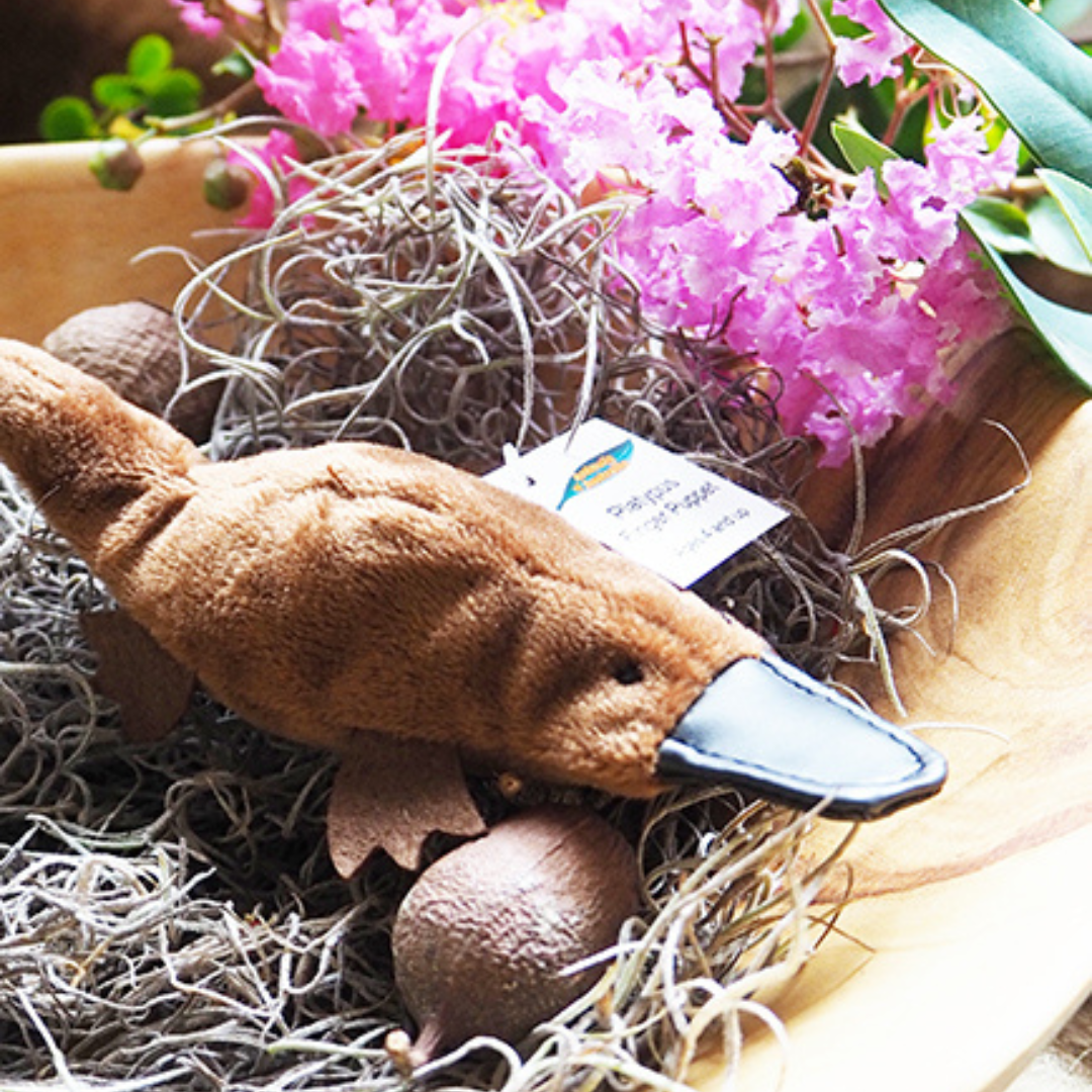 Australian Platypus Finger Puppet placed among decorative eggs and flowers, emphasizing its use in play and educational settings.